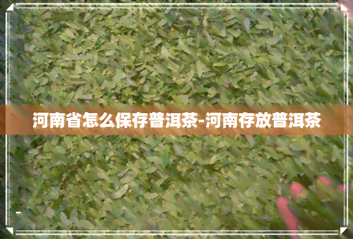 河南省怎么保存普洱茶-河南存放普洱茶