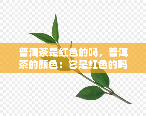 普洱茶是红色的吗，普洱茶的颜色：它是红色的吗？