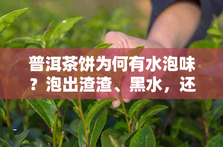 普洱茶饼为何有水泡味？泡出渣渣、黑水，还带发丝？全解