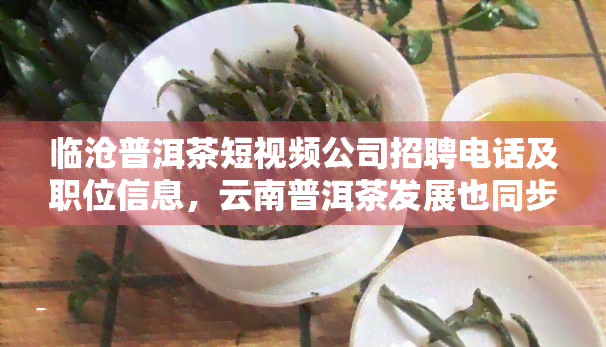 临沧普洱茶短视频公司招聘电话及职位信息，云南普洱茶发展也同步招聘，快来投递简历！