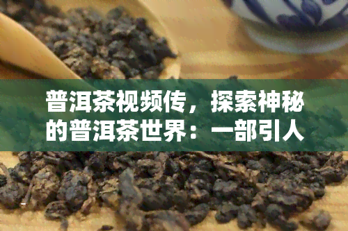 普洱茶视频传，探索神秘的普洱茶世界：一部引人入胜的视频传