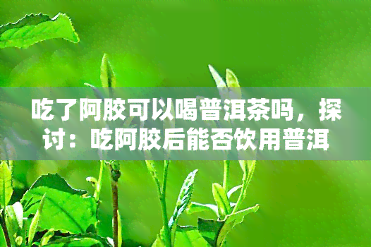 吃了阿胶可以喝普洱茶吗，探讨：吃阿胶后能否饮用普洱茶？