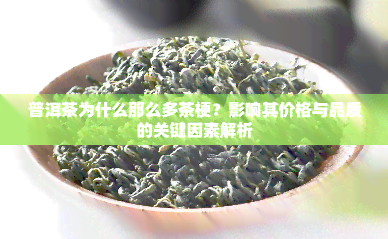 普洱茶为什么那么多茶梗？影响其价格与品质的关键因素解析