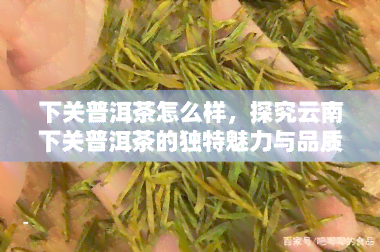 下关普洱茶怎么样，探究云南下关普洱茶的独特魅力与品质特点