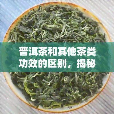 普洱茶和其他茶类功效的区别，揭秘普洱茶与其它茶类的功效差异