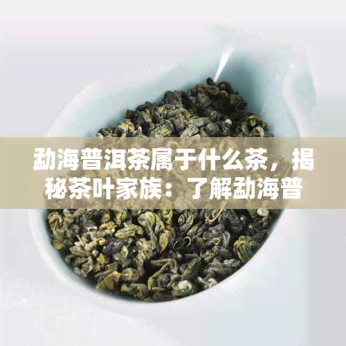 勐海普洱茶属于什么茶，揭秘茶叶家族：了解勐海普洱茶的真正身份