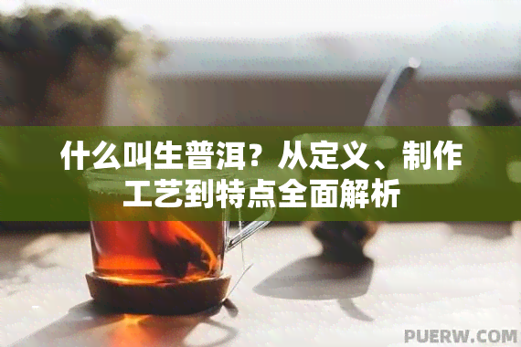 什么叫生普洱？从定义、制作工艺到特点全面解析