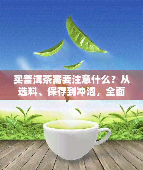 买普洱茶需要注意什么？从选料、保存到冲泡，全面解析购买技巧与细节！