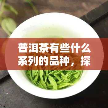 普洱茶有些什么系列的品种，探索普洱茶的世界：品种系列全面解析