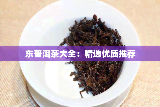 东普洱茶大全：精选优质推荐