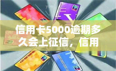 信用卡5000逾期多久会上，信用卡逾期5000天数对有何影响？