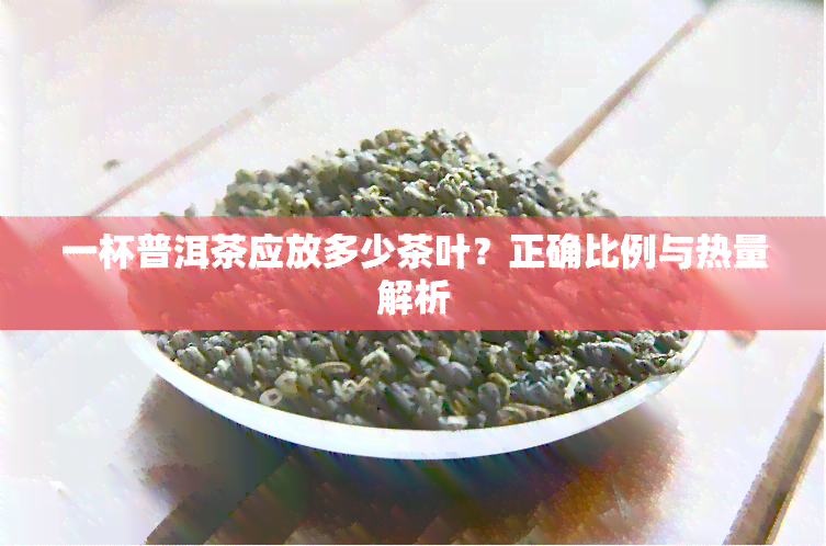 一杯普洱茶应放多少茶叶？正确比例与热量解析