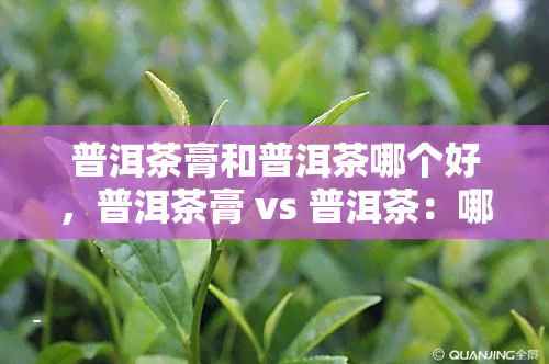 普洱茶膏和普洱茶哪个好，普洱茶膏 vs 普洱茶：哪个更好？