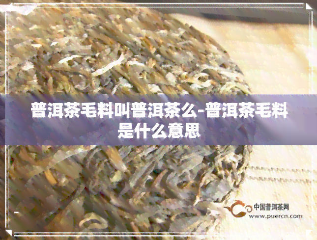 普洱茶毛料叫普洱茶么-普洱茶毛料是什么意思