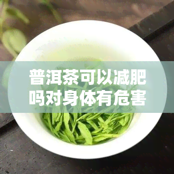 普洱茶可以减肥吗对身体有危害吗，普洱茶能减肥吗？探讨其对身体的影响