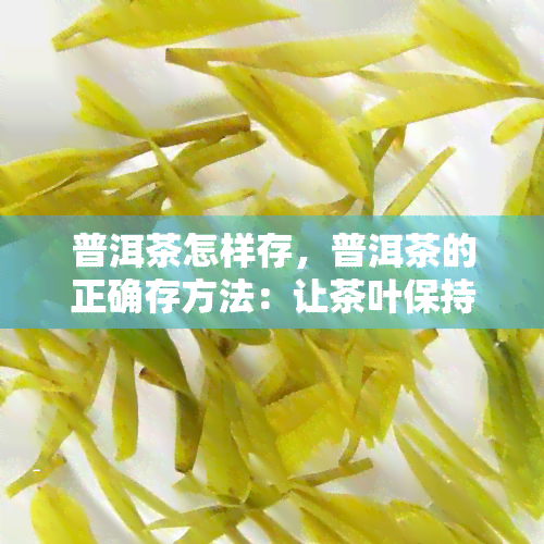 普洱茶怎样存，普洱茶的正确存方法：让茶叶保持口感与香气