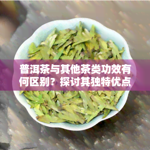 普洱茶与其他茶类功效有何区别？探讨其独特优点与不同之处