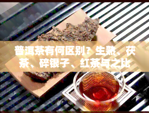 普洱茶有何区别？生熟、茯茶、碎银子、红茶与之比较