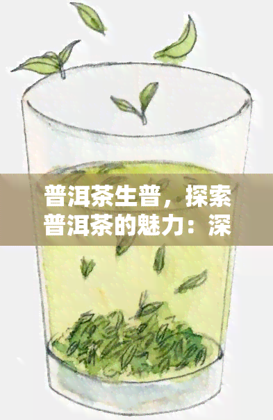 普洱茶生普，探索普洱茶的魅力：深入了解生普的制作工艺与口感特性