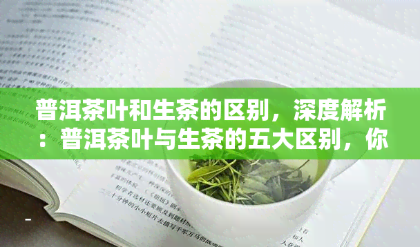 普洱茶叶和生茶的区别，深度解析：普洱茶叶与生茶的五大区别，你了解吗？