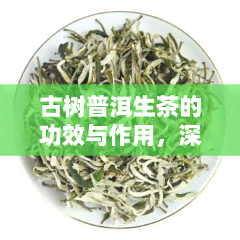 古树普洱生茶的功效与作用，深度解析：古树普洱生茶的神奇功效与作用