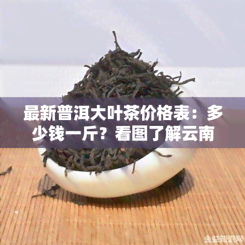 最新普洱大叶茶价格表：多少钱一斤？看图了解云南大叶牌普洱茶价格！