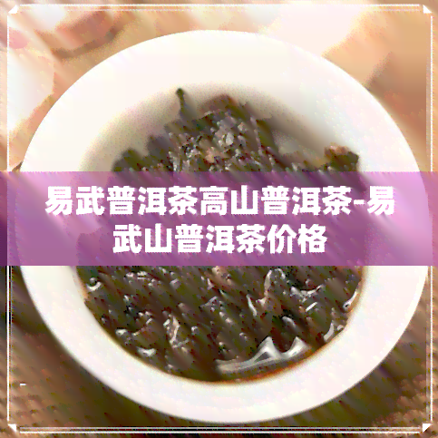 易武普洱茶高山普洱茶-易武山普洱茶价格