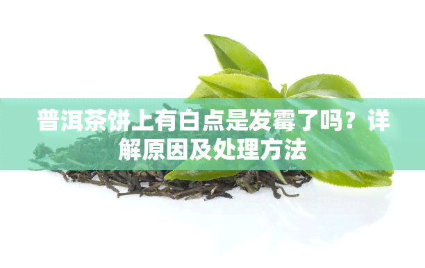 普洱茶饼上有白点是发霉了吗？详解原因及处理方法