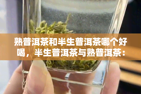 熟普洱茶和半生普洱茶哪个好喝，半生普洱茶与熟普洱茶：口感大比拼，哪个更胜一筹？