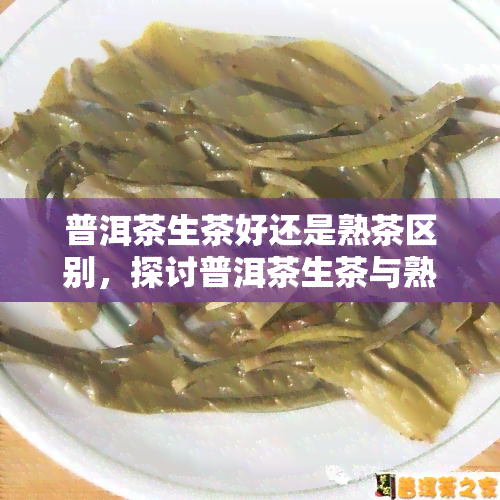 普洱茶生茶好还是熟茶区别，探讨普洱茶生茶与熟茶的差异：哪个更好？