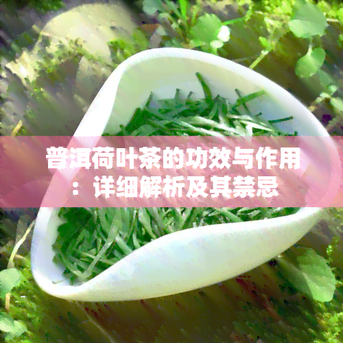 普洱荷叶茶的功效与作用：详细解析及其禁忌