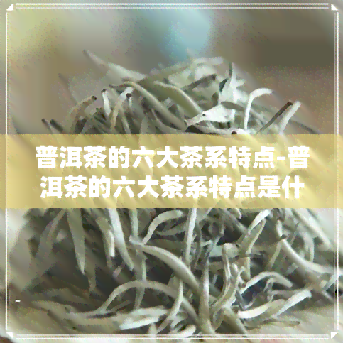 普洱茶的六大茶系特点-普洱茶的六大茶系特点是什么