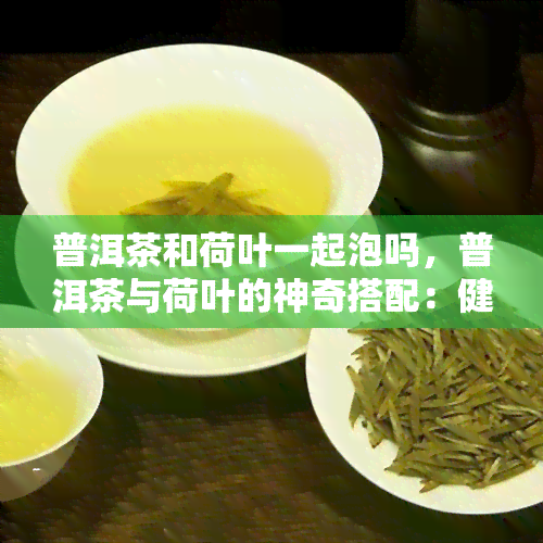 普洱茶和荷叶一起泡吗，普洱茶与荷叶的神奇搭配：健养生的新选择