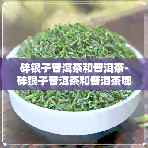 碎银子普洱茶和普洱茶-碎银子普洱茶和普洱茶哪个好