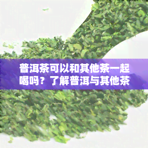 普洱茶可以和其他茶一起喝吗？了解普洱与其他茶叶的搭配技巧与禁忌