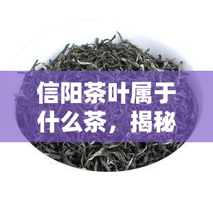 信阳茶叶属于什么茶，揭秘信阳茶叶的品种归属，它属于哪种茶呢？