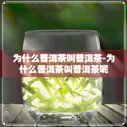 为什么普洱茶叫普洱茶-为什么普洱茶叫普洱茶呢