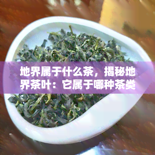 地界属于什么茶，揭秘地界茶叶：它属于哪种茶类？