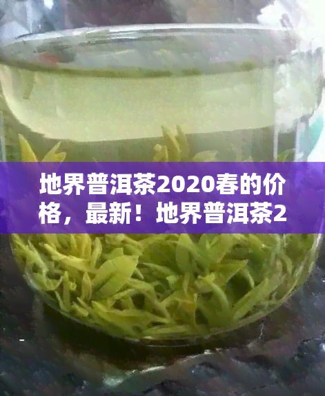 地界普洱茶2020春的价格，最新！地界普洱茶2020春的价格一览