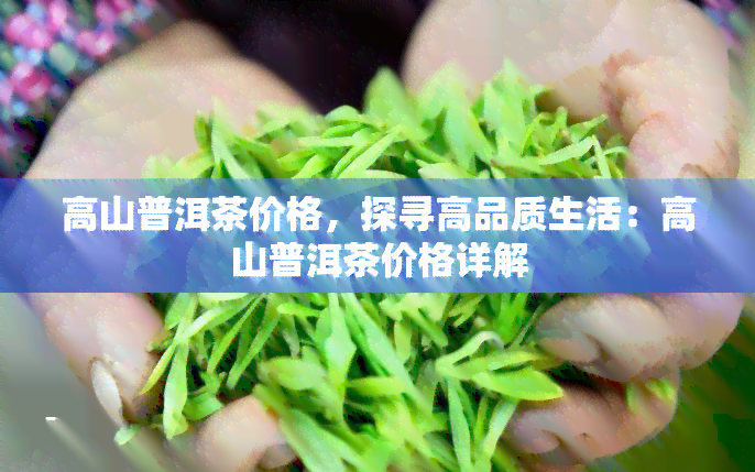 高山普洱茶价格，探寻高品质生活：高山普洱茶价格详解