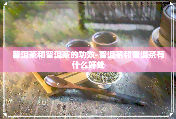 普洱茶和普洱茶的功效-普洱茶和普洱茶有什么好处