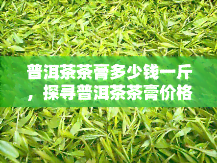 普洱茶茶膏多少钱一斤，探寻普洱茶茶膏价格：一斤多少钱？