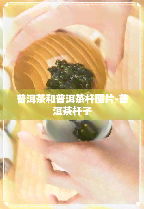 普洱茶和普洱茶杆图片-普洱茶杆子