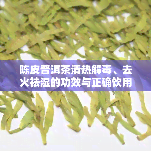 陈皮普洱茶清热解、去火祛湿的功效与正确饮用方法