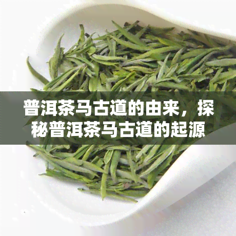 普洱茶马古道的由来，探秘普洱茶马古道的起源与历