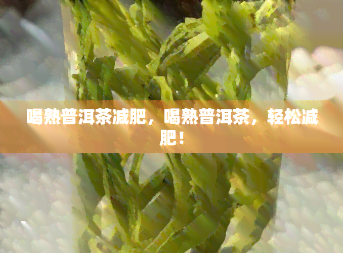 喝熟普洱茶减肥，喝熟普洱茶，轻松减肥！