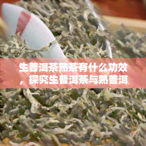 生普洱茶熟茶有什么功效，探究生普洱茶与熟普洱茶的功效差异