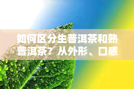 如何区分生普洱茶和熟普洱茶？从外形、口感、香气等方面全面解析