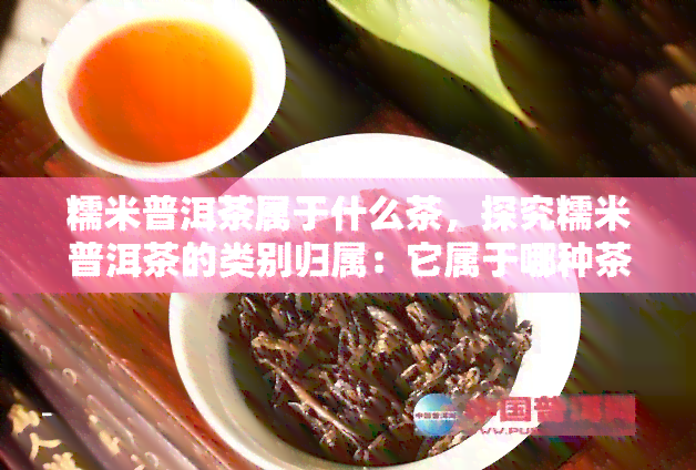 糯米普洱茶属于什么茶，探究糯米普洱茶的类别归属：它属于哪种茶？