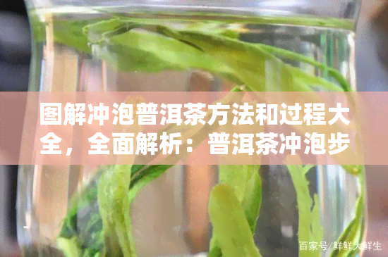 图解冲泡普洱茶方法和过程大全，全面解析：普洱茶冲泡步骤详解及图解大全